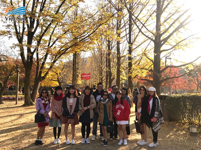 Chùm tour mùa thu - Vi vu giá tốt - 1 Không khí se se lạnh bên những hàng cây thay lá