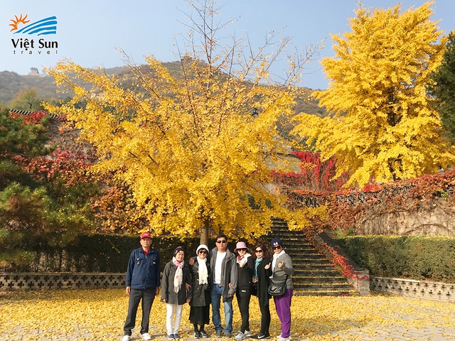 Chùm tour mùa thu - Vi vu giá tốt - 3 Vẻ đẹp lộng lẫy của nàng thu Bắc Kinh