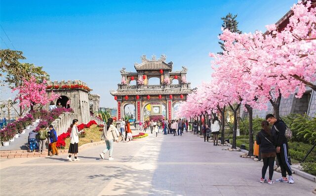 Du khách vẫn nườm nượp đổ về ngắm “Kỳ quan muôn sắc hoa”