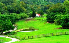 Trải nghiệm nông nghiệp du lịch Đài Loan nghỉ – ăn – chơi đẹp ngất ngây