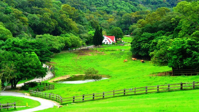 Trải nghiệm nông nghiệp du lịch Đài Loan nghỉ – ăn – chơi đẹp ngất ngây