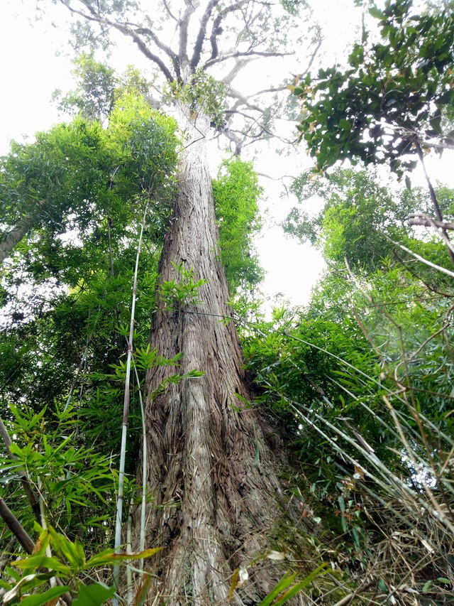 Đồng bào Cơtu Quảng Nam 