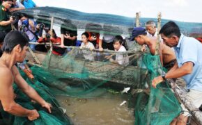 Du lịch Đồng Tháp phát triển khởi sắc