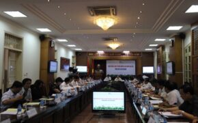 Năm du lịch Quốc gia 2016, quên mất quảng bá