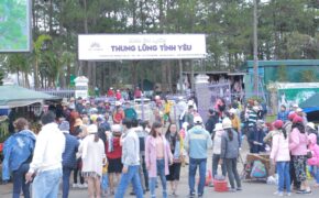 Đà Lạt đón hơn 132.000 lượt khách du lịch trong Tết dương lịch