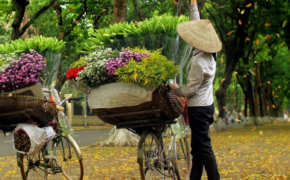 Có một Hà Nội rất xanh