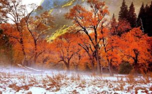 Những điểm du lịch mùa thu lý tưởng