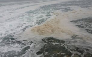 Tổng cục Du lịch theo dõi sát sao vụ cá chết hàng loạt ở biển miền Trung