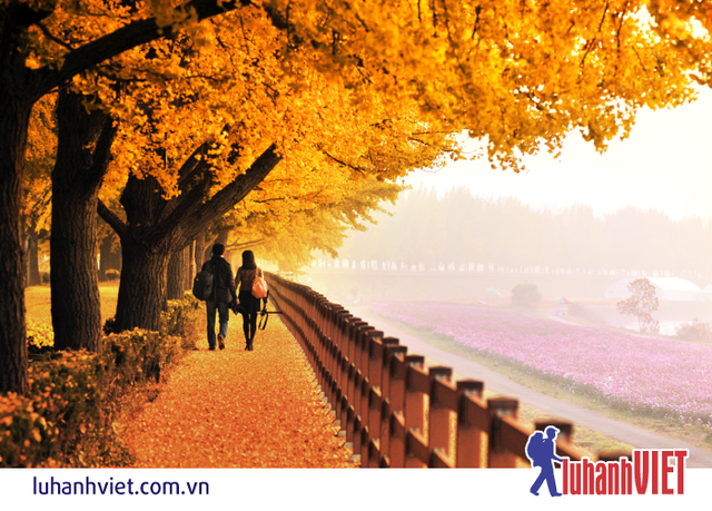 Nghỉ lễ 2/9, nhiều tour không tăng giá, dịch vụ không đổi - 2 Nghỉ lễ 2/9, nhiều tour không tăng giá, dịch vụ không đổi - 2