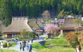 Khám phá cuộc sống nông thôn Nhật Bản trên truyền hình Việt Nam