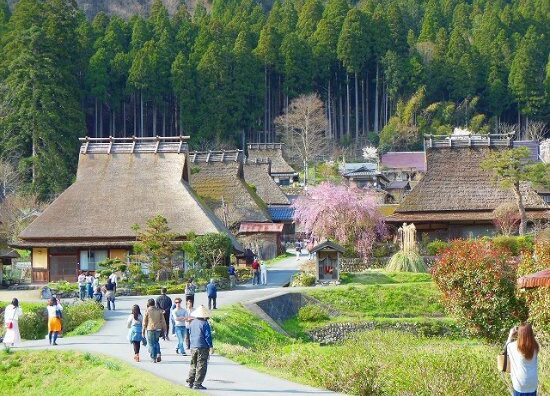 Khám phá cuộc sống nông thôn Nhật Bản trên truyền hình Việt Nam