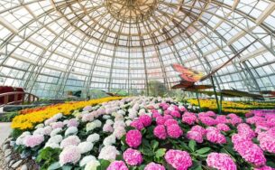 1 chuyến đi – check-in “5 châu, 4 bể”