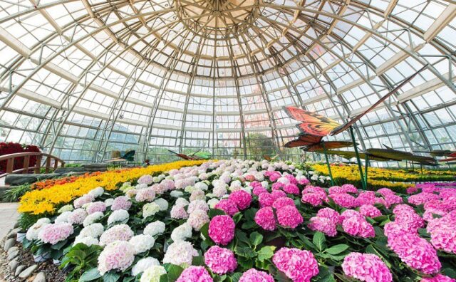 1 chuyến đi – check-in “5 châu, 4 bể”