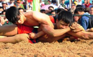 Du Xuân trẩy hội vật làng Sình