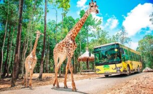 Vinpearl khuyến mãi khủng cho mùa du lịch Thu Đông