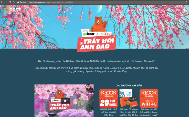 Mùa hoa anh đào, trải nghiệm du lịch cùng GoBear Việt Nam và KLOOK