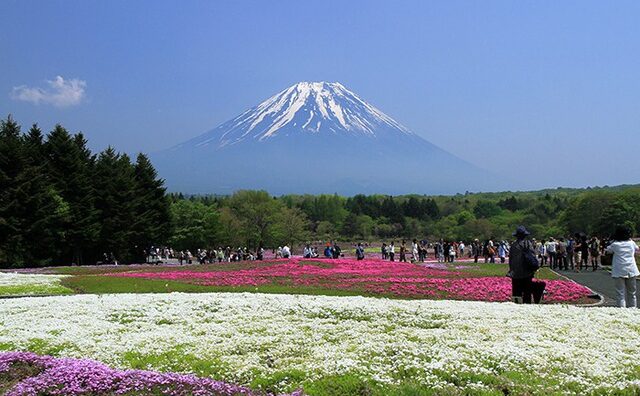 Ra mắt tour khám phá Nhật Bản hấp dẫn dành cho du khách