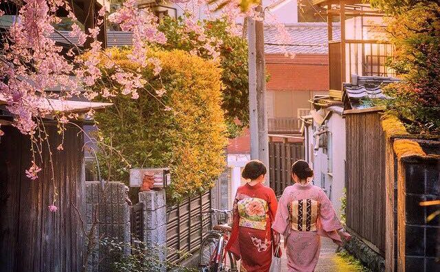 Khám phá cung đường vàng Nhật Bản cùng Vietrantour