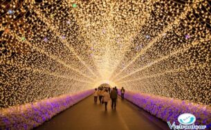 4 nơi nên đến vào mùa anh đào Nhật Bản