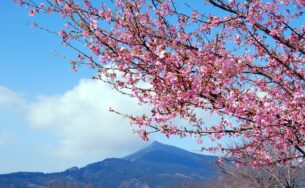 Khám phá “Hành trình kim cương” bằng máy bay riêng