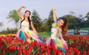Vòng quanh thế giới ngắm những vườn tulip vạn người mê