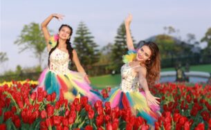 Vòng quanh thế giới ngắm những vườn tulip vạn người mê