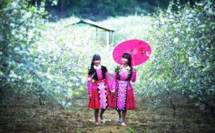 Ai lên Tây Bắc mùa xuân!