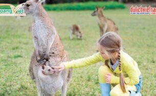 Ngắm tuyết rơi mùa hè tại Úc trọn gói từ 19,9 triệu đồng.