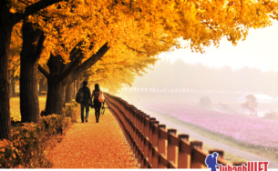 Nghỉ lễ 2/9, nhiều tour không tăng giá, dịch vụ không đổi