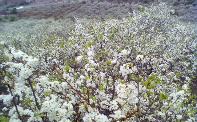 Top 5 điểm du lịch Tết “rất đáng để kéo vali và đi”