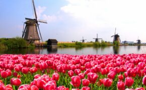 48h Sale – Vô vàn tour ưu đãi