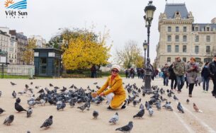 Chùm tour mùa thu – Vi vu giá tốt