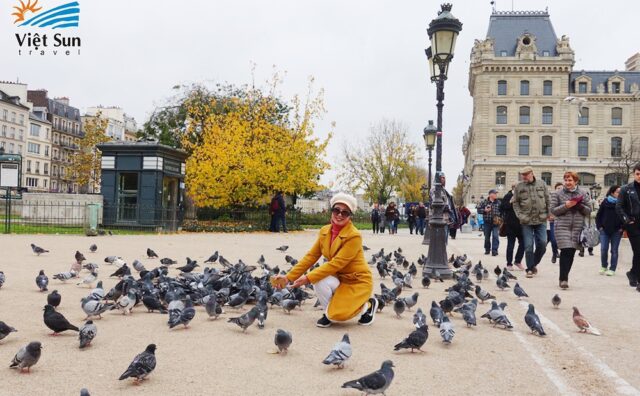 Chùm tour mùa thu – Vi vu giá tốt