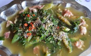 Cà đắng lá mì Pleiku