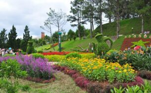 Những chuyến du xuân ngắn ngày ý nghĩa