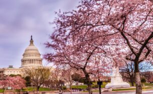 Khám phá giấc mơ Mỹ