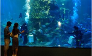 Trải nghiệm hoàn toàn mới tại Thủy cung Times City