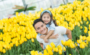 Festive Wonderland – Lễ hội thần tiên tại xứ sở Vinpearl Land