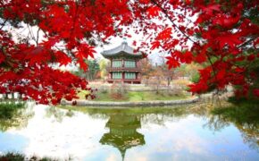 Thưởng ngoạn sắc thu quyến rũ