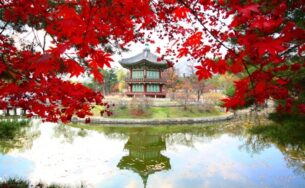 Thưởng ngoạn sắc thu quyến rũ