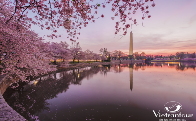 Sôi động du lịch đầu xuân