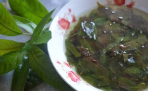 Nỗi nhớ canh lá nhíp