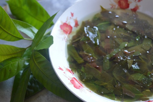 Nỗi nhớ canh lá nhíp