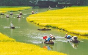 Khám phá “10 kiệt tác ngầm” đẹp nhất Việt Nam
