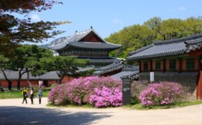 Hãy tưởng tượng Hàn Quốc của bạn