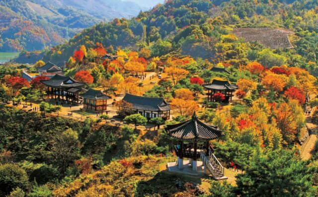 Liên minh tour quốc tế: Khuyến mãi trên 3 triệu tour Hàn Quốc