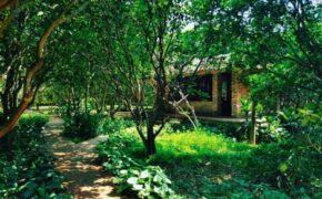 Hue Ecolodge – nơi nghỉ dưỡng tại Huế mà bạn nên trải nghiệm ngay