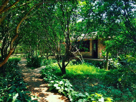 Hue Ecolodge – nơi nghỉ dưỡng tại Huế mà bạn nên trải nghiệm ngay