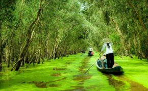 Tháng 9 về miền Tây nước nổi