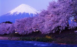 Khám phá Nhật Bản – Nhịp đập hiện đại trong trái tim xưa cổ